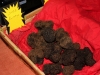 merveilleuse tuber melanosporum